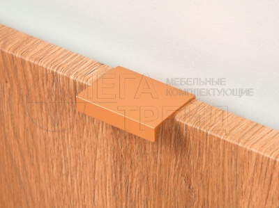 Ручка торцевая RT109SG.1/32 (60) Сатиновое золото БОЯРД