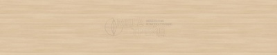 Дуглас светлый\3831\3\Фальшпанель\3050\600\4\бз\M\ГП