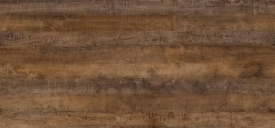 Трансильвания\2062\1\Фальш\3050\600\4\бз\S\ГП