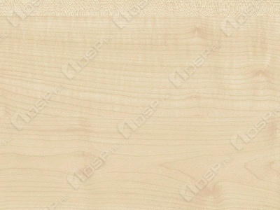 ЛХДФ 0362 РЕ Клен 2800х2070х3 от компании Мега-Трейд