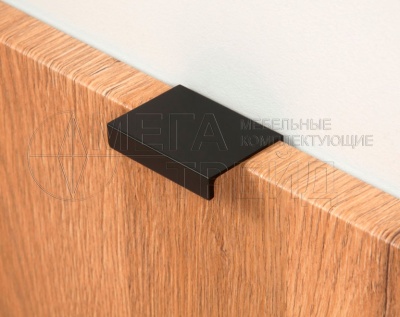 Ручка торцевая RT109BL.1/32 (50) черный матовый